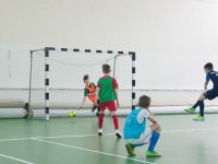 IMG_5177